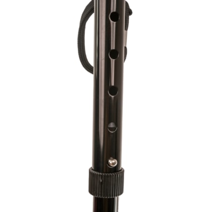 image_a36f5549-89fa-4004-8c87-54869ec5db73