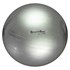 Bola de Exercícios 65cm Gynastic Ball Carci Prata