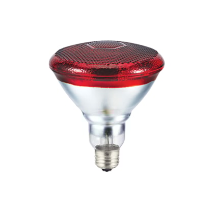 Product main image - e6ec475a-a330-42d3-8f08-953b98053a40